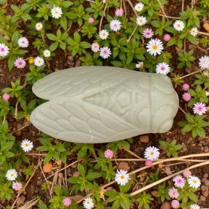 Savon Cigale Parfum Olive 90 gr