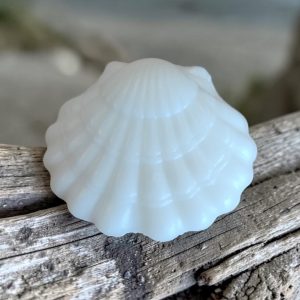 savon en forme de coquillage blanc parfum méditérannée 40 gr fabrication française